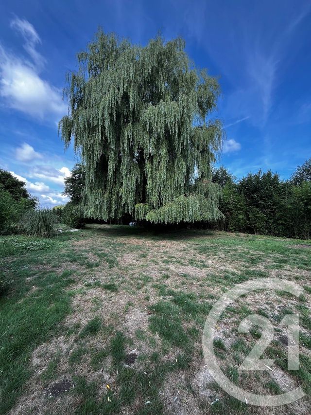 Maison &agrave; vendre - 8 pi&egrave;ces - 280 m2 - Foucaucourt Sur Thabas - 55 - LORRAINE